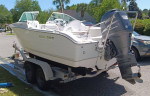 Sea Pro 206 DC