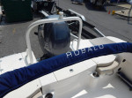 2013 Boarding ladder 18.6ft robalo