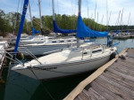 1984 Cal 24
