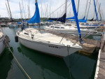 1984 Cal 24