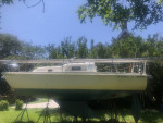 26 Pearson Sailing boat