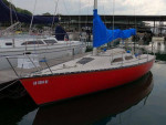 1984 Schock Wavelength 24
