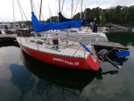 1984 Schock Wavelength 24