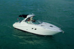 Sea Ray 310 Sundancer (V-Drives)