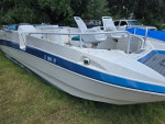 28 FT BAYLINER CAT / 2012 EVINRUDE 150