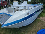 28 FT BAYLINER CAT / 2012 EVINRUDE 150