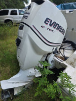 28 FT BAYLINER CAT / 2012 EVINRUDE 150