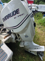 28 FT BAYLINER CAT / 2012 EVINRUDE 150