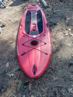 Paddle board