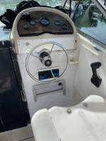 25' CHRIS CRAFT CATALINA 1986