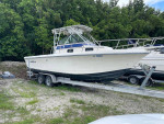 25' PROLINE WALKAROUND 1990