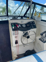 25' PROLINE WALKAROUND 1990