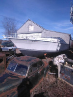 42' Mainship