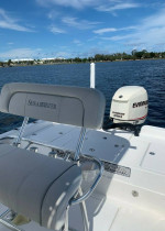 2005 Shearwater Z2400 with 2005 Evinrude 250HP Outboard