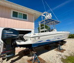 Wellcraft Scarab Sport 302 CC with Tower