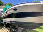Sun Runner Ultra 302 Express Cruiser