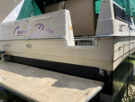 Sun Runner Ultra 302 Express Cruiser