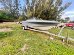19ft Fourwinds boat w/ trailer