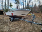 20 ft Sea Ray boat with 350 chevy motor