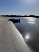 WANTING TO TRADE 1997 BAYLINER CAPRI 1600LS FOR TRADE OR $6500 CASH