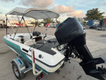 BOAT  FOR  SALE / MERCURY 200 HP