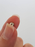 Black pearl stud earrings