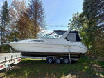 Sea Ray