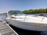 Sea Ray