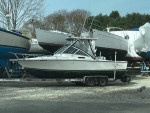 Albemarle 248