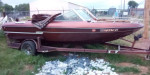 1981 vip