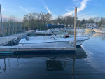WellCraft boat 20’ with 150HP Yamaha outboard and trailer