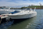 1995 Larson 310 Cabrio