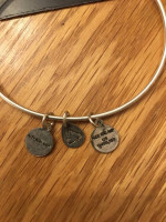 Alex And Ani Compass Silver Expandable Charm Bangle Bracelet