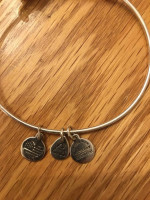 Alex And Ani Compass Silver Expandable Charm Bangle Bracelet