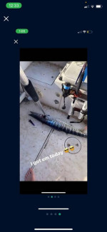 Sport Fish