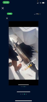 Sport Fish