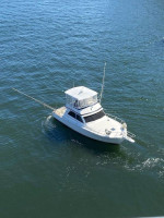 Sport Fish