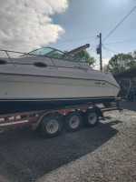 1997 250 Sea Ray Sundancer