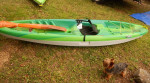 Pelican SEEKER Sit-on Top, 1 Person 10-FT Kayak, Polyethylene, 3-avail