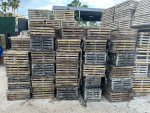 350 stonecrab traps