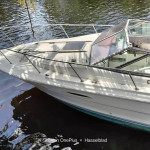 Sea ray boat,cutty cabin,