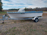 Shorelandr Galvanized Roller Trailer and Boat.