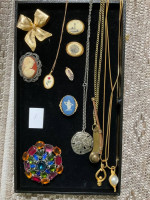 12-Piece Jewelry  Collections: Necklaces, 6 Pins