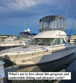 1992 Sea Ray Sports Bridge