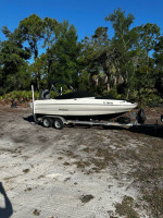 2020 stingray 204 lr
