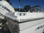 1998 Aquasport 215DC/2009 225hp etec
