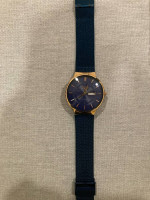 Minimalist luxury watch