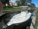 Proline 23' CC