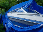1989 bow rider/with trailer