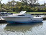 1995 Wellcraft 260 Coastal